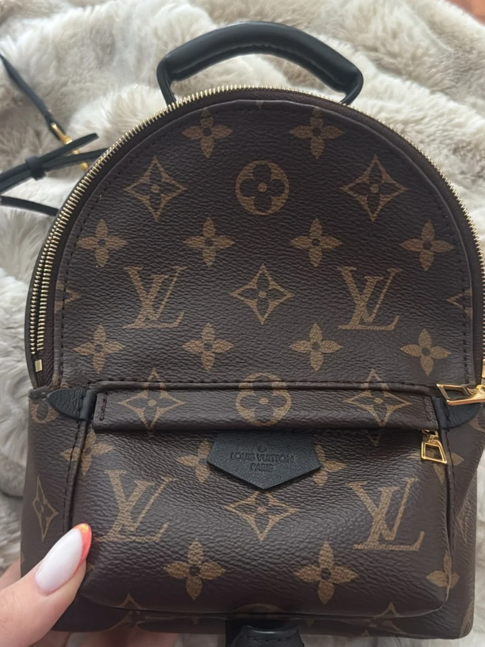 Louis Vuitton Monogram Mini Palm Springs Backpack - Brown & Black